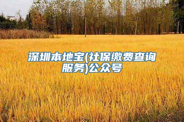 深圳本地宝(社保缴费查询服务)公众号