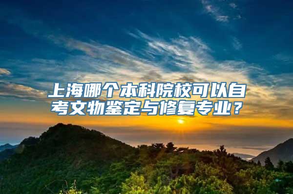 上海哪个本科院校可以自考文物鉴定与修复专业？