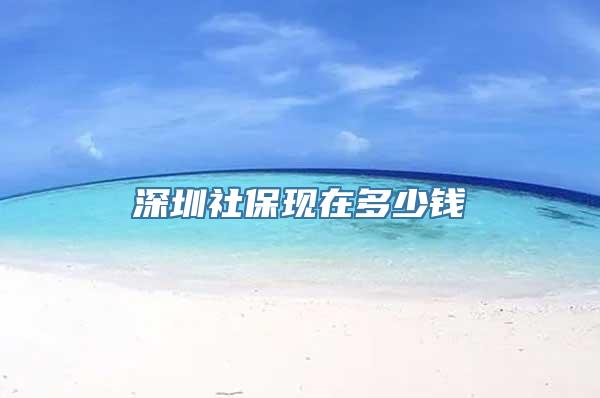 深圳社保现在多少钱