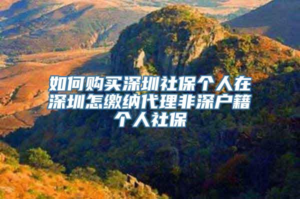如何购买深圳社保个人在深圳怎缴纳代理非深户籍个人社保