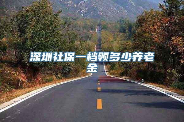 深圳社保一档领多少养老金