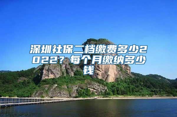 深圳社保二档缴费多少2022？每个月缴纳多少钱