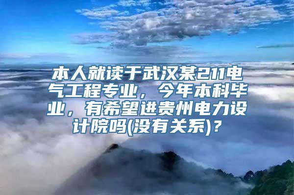 本人就读于武汉某211电气工程专业，今年本科毕业，有希望进贵州电力设计院吗(没有关系)？