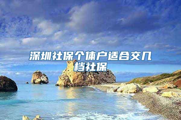 深圳社保个体户适合交几档社保