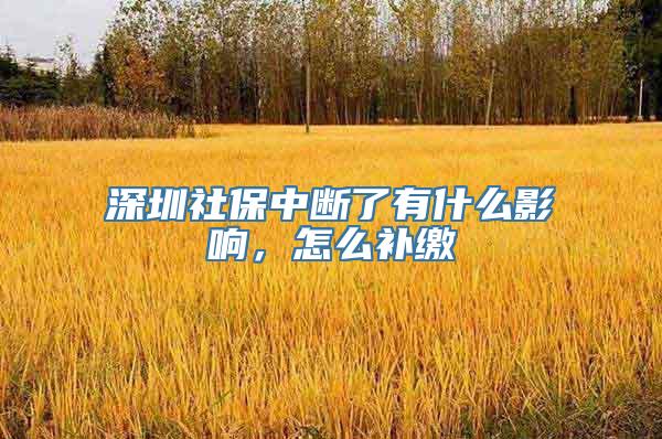 深圳社保中断了有什么影响，怎么补缴