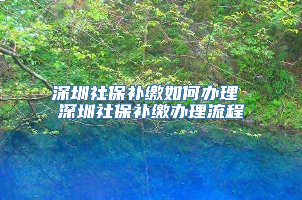 深圳社保补缴如何办理 深圳社保补缴办理流程