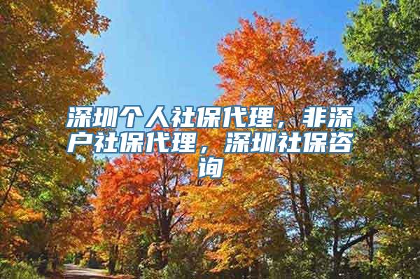 深圳个人社保代理，非深户社保代理，深圳社保咨询