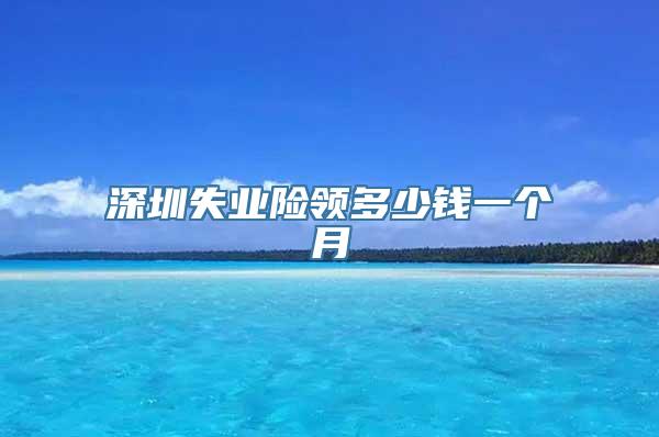 深圳失业险领多少钱一个月