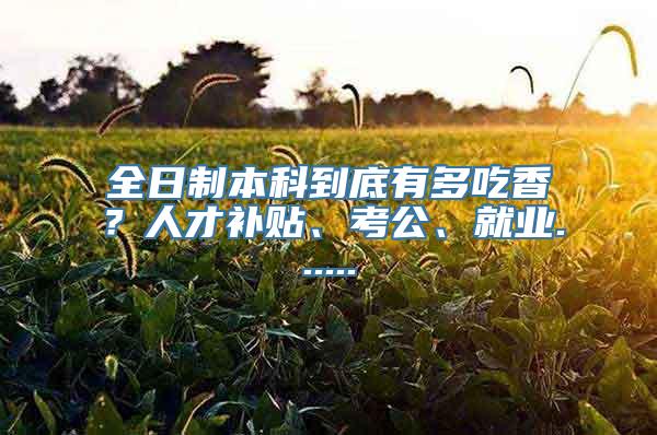 全日制本科到底有多吃香？人才补贴、考公、就业......