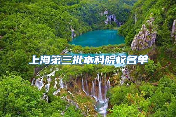 上海第三批本科院校名单