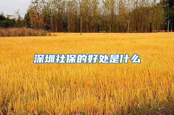 深圳社保的好处是什么