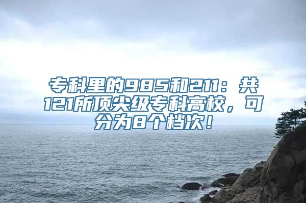 专科里的985和211：共121所顶尖级专科高校，可分为8个档次！