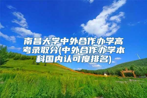 南昌大学中外合作办学高考录取分(中外合作办学本科国内认可度排名)