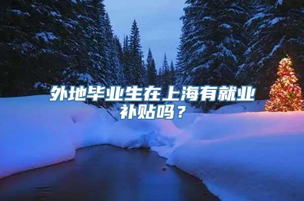 外地毕业生在上海有就业补贴吗？