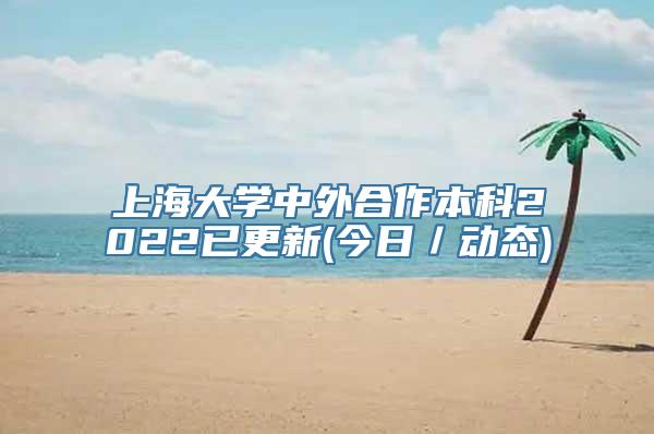 上海大学中外合作本科2022已更新(今日／动态)