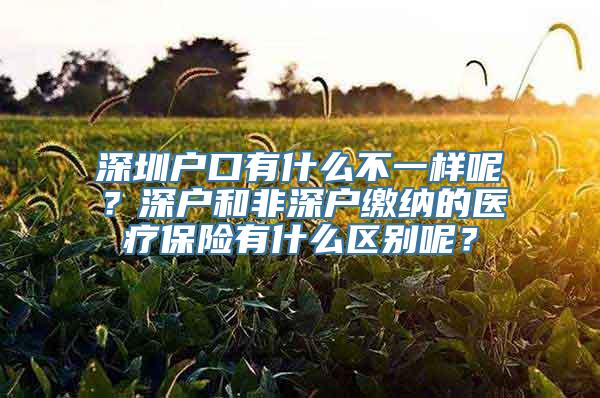 深圳户口有什么不一样呢？深户和非深户缴纳的医疗保险有什么区别呢？