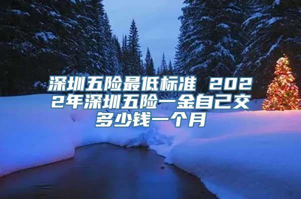 深圳五险最低标准 2022年深圳五险一金自己交多少钱一个月