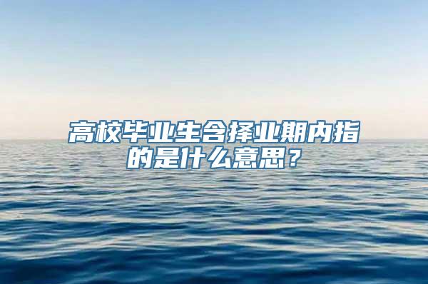 高校毕业生含择业期内指的是什么意思？