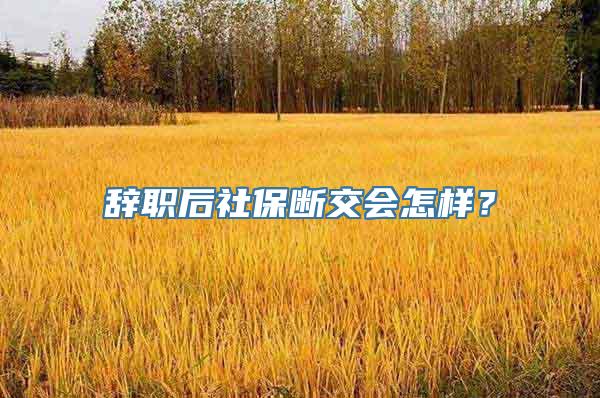 辞职后社保断交会怎样？