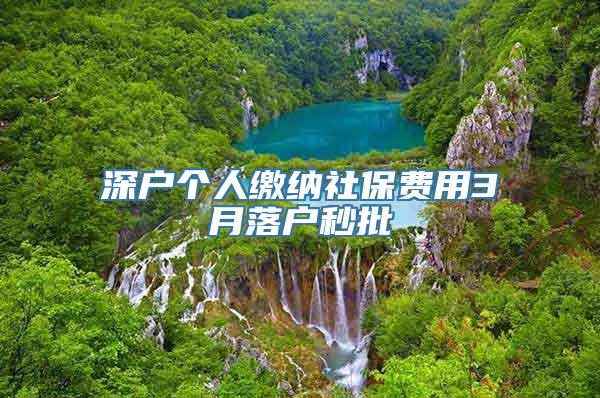 深户个人缴纳社保费用3月落户秒批