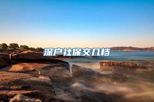 深户社保交几档