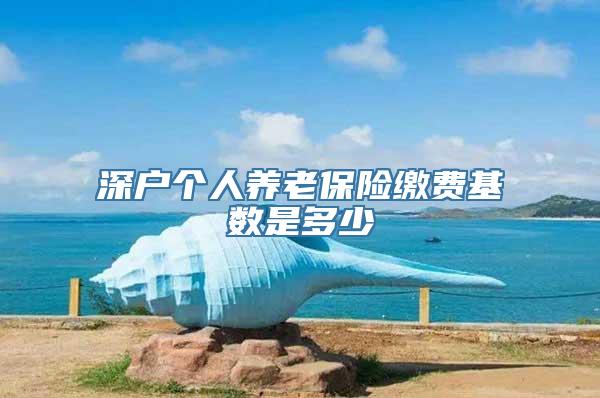 深户个人养老保险缴费基数是多少