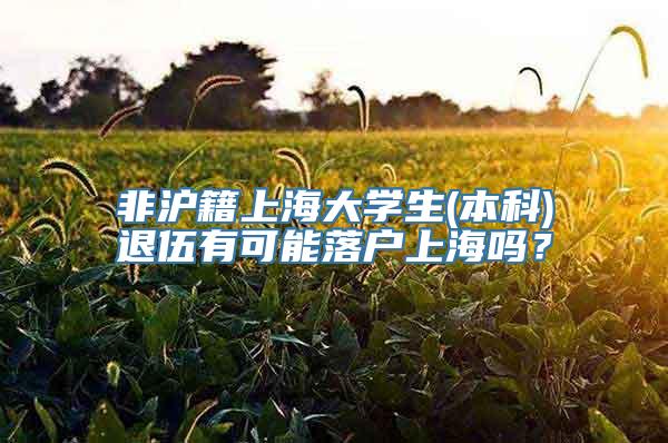 非沪籍上海大学生(本科)退伍有可能落户上海吗？