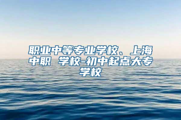 职业中等专业学校、上海中职 学校-初中起点大专学校