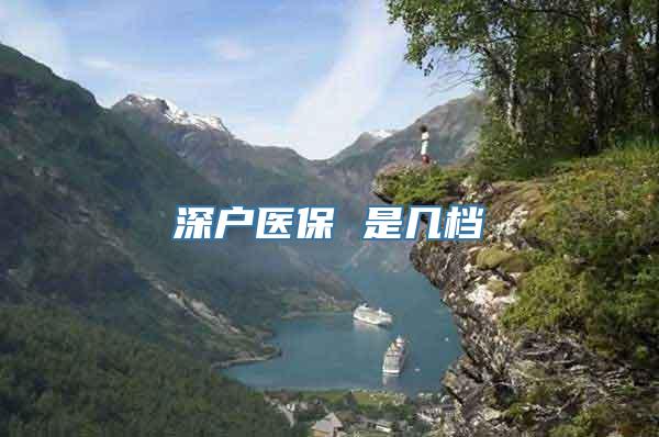 深户医保 是几档