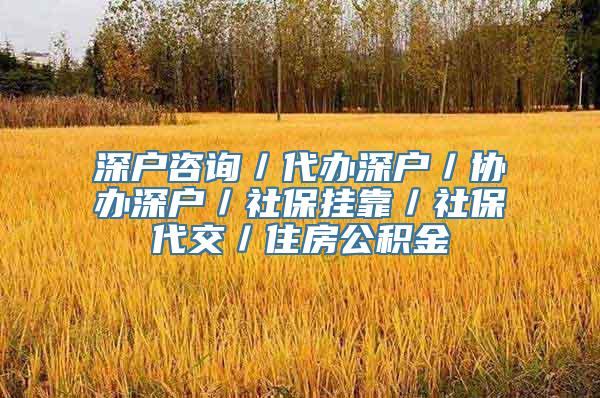 深户咨询／代办深户／协办深户／社保挂靠／社保代交／住房公积金
