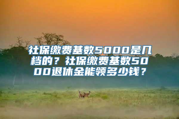 社保缴费基数5000是几档的？社保缴费基数5000退休金能领多少钱？