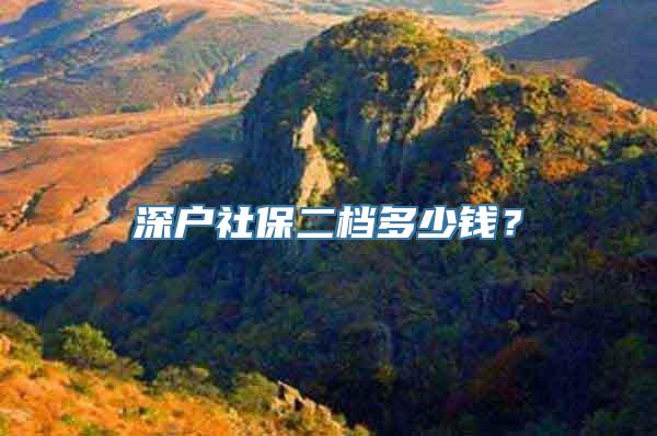 深户社保二档多少钱？