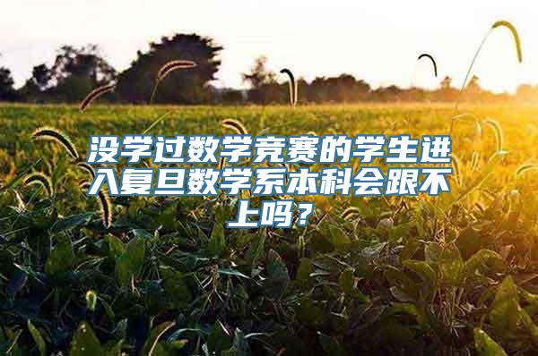 没学过数学竞赛的学生进入复旦数学系本科会跟不上吗？