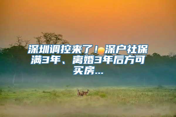 深圳调控来了！深户社保满3年、离婚3年后方可买房...