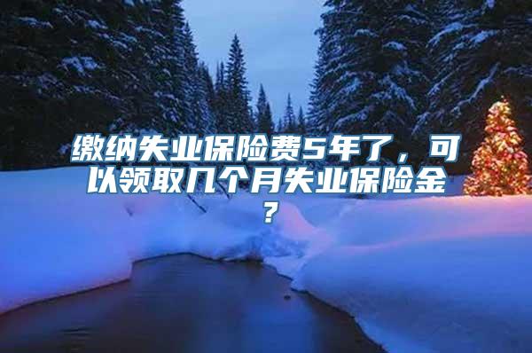 缴纳失业保险费5年了，可以领取几个月失业保险金？