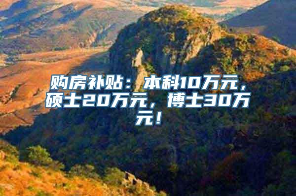 购房补贴：本科10万元，硕士20万元，博士30万元！