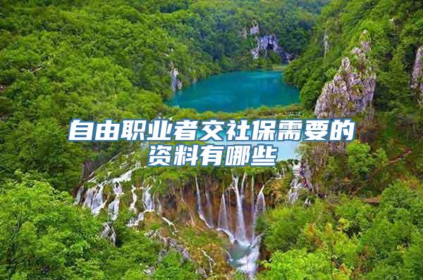 自由职业者交社保需要的资料有哪些