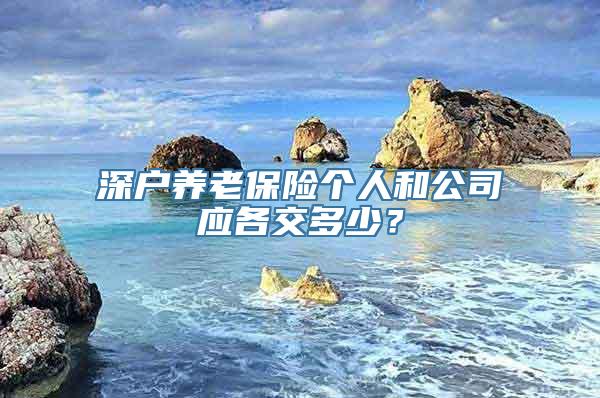 深户养老保险个人和公司应各交多少？