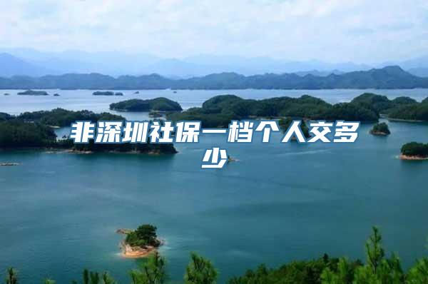 非深圳社保一档个人交多少