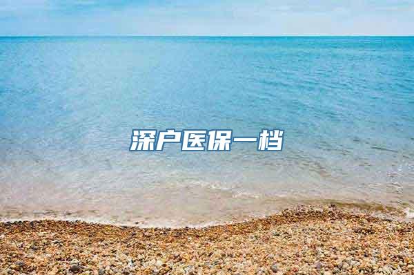 深户医保一档