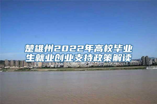 楚雄州2022年高校毕业生就业创业支持政策解读