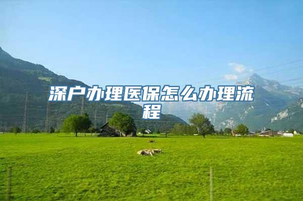 深户办理医保怎么办理流程