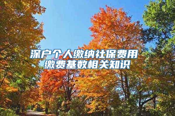 深户个人缴纳社保费用 缴费基数相关知识