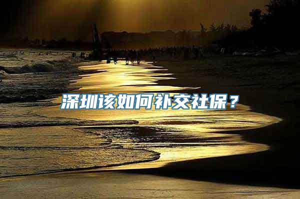 深圳该如何补交社保？