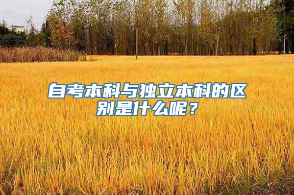 自考本科与独立本科的区别是什么呢？