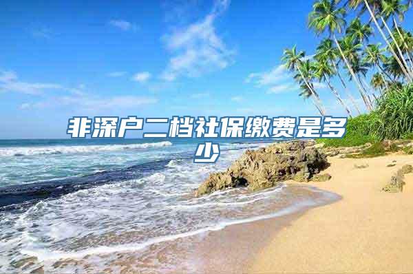 非深户二档社保缴费是多少