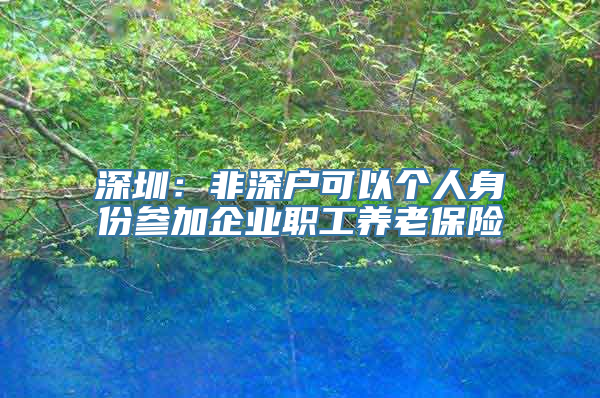 深圳：非深户可以个人身份参加企业职工养老保险