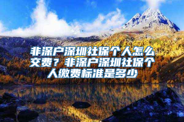 非深户深圳社保个人怎么交费？非深户深圳社保个人缴费标准是多少