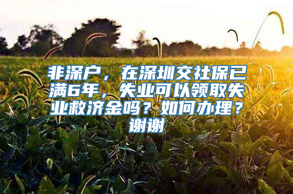 非深户，在深圳交社保已满6年，失业可以领取失业救济金吗？如何办理？谢谢