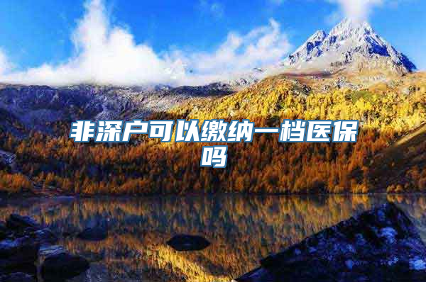 非深户可以缴纳一档医保吗